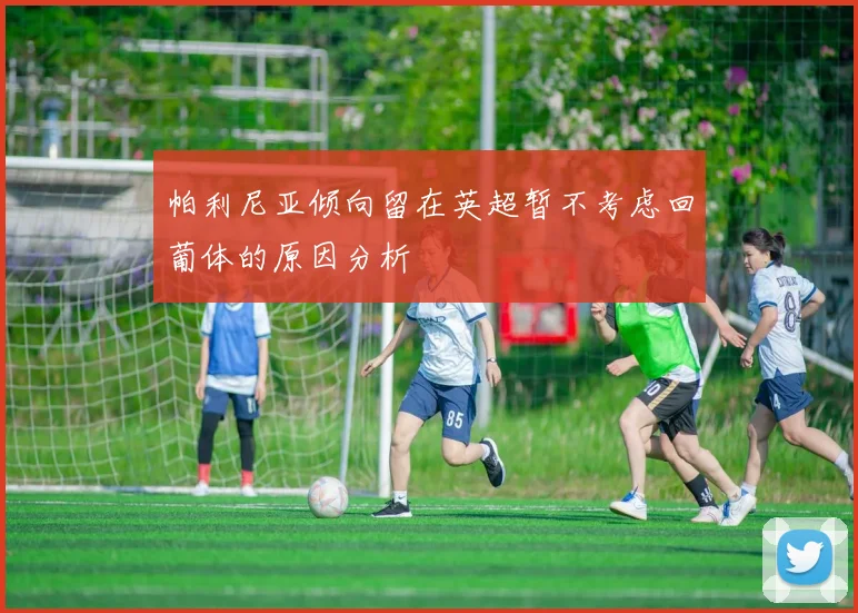 帕利尼亚倾向留在英超暂不考虑回葡体的原因分析